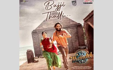 रॉकस्टार डीएसपी की 'थंडेल' की सोलफुल रचना 'बुज्जी थल्ली' ने जीता लोगों का दिल!