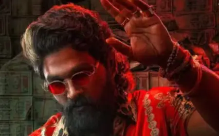 'बेबी जॉन’ के रिलीज़ का नहीं पड़ा असर, 'पुष्पा 2' ने 21वें दिन पार किया 1100 करोड़